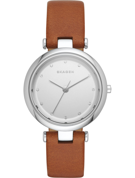 Наручные часы Skagen SKW2458