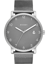 Наручные часы Skagen SKW6307