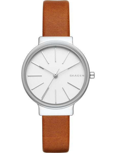 Наручные часы Skagen SKW2479