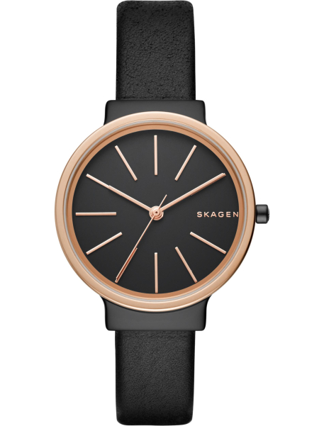 Наручные часы Skagen SKW2480