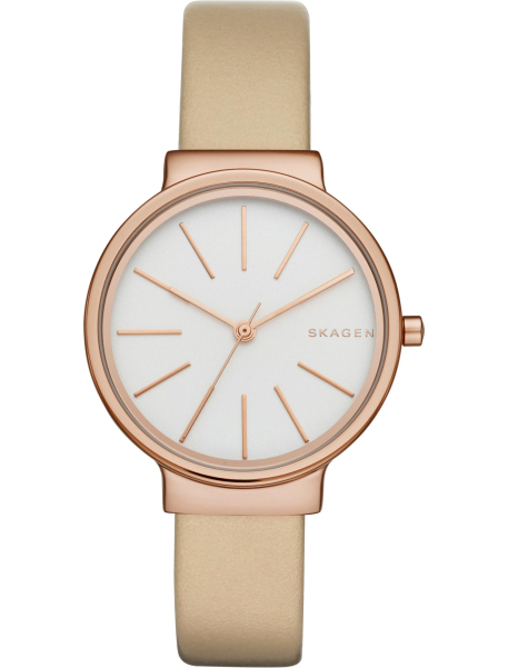 Наручные часы Skagen SKW2481