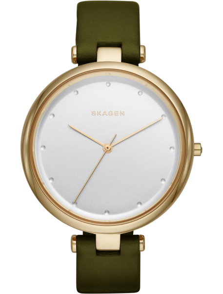 Наручные часы Skagen SKW2483