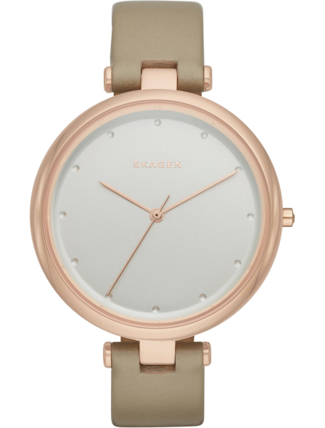Наручные часы Skagen SKW2484