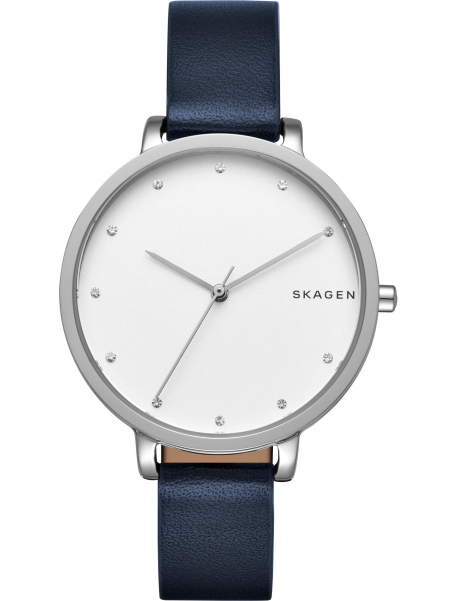 Наручные часы Skagen SKW2581