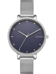 Наручные часы Skagen SKW2582