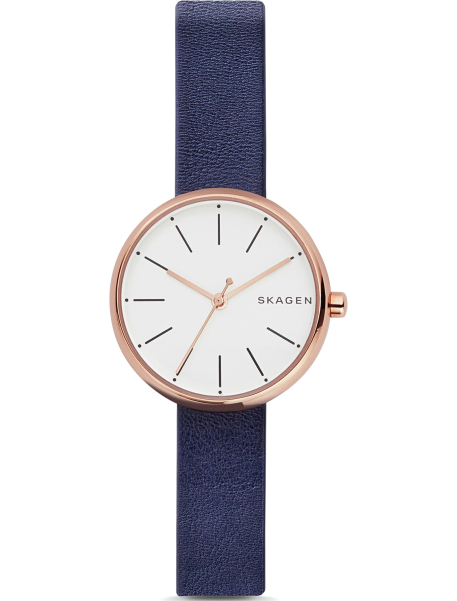 Наручные часы Skagen SKW2592