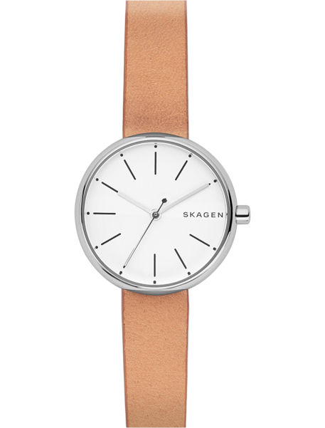 Наручные часы Skagen SKW2594