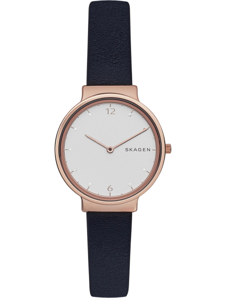 Наручные часы Skagen SKW2608