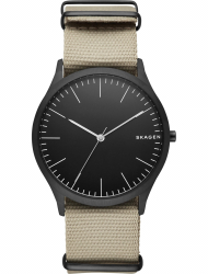 Наручные часы Skagen SKW6367