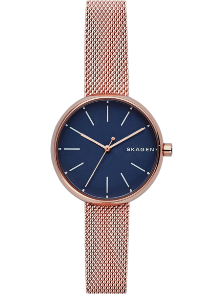 Наручные часы Skagen SKW2593