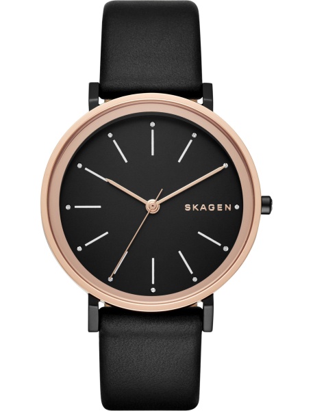 Наручные часы Skagen SKW2490