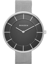 Наручные часы Skagen SKW2561