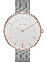 Наручные часы Skagen SKW2583