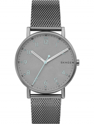 Наручные часы Skagen SKW6354