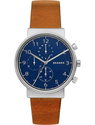 Наручные часы Skagen SKW6358