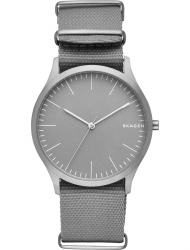Наручные часы Skagen SKW6366