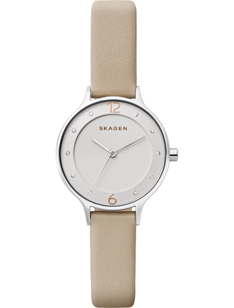Наручные часы Skagen SKW2648