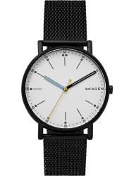 Наручные часы Skagen SKW6376
