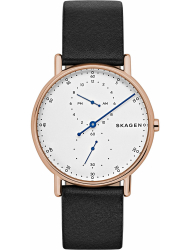 Наручные часы Skagen SKW6390