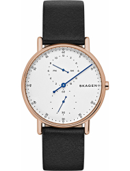 Наручные часы Skagen SKW6390