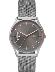 Наручные часы Skagen SKW6396