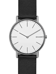 Наручные часы Skagen SKW6419