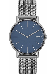 Наручные часы Skagen SKW6420