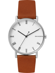 Наручные часы Skagen SKW6427