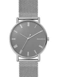 Наручные часы Skagen SKW6428