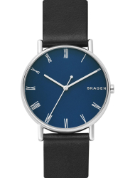 Наручные часы Skagen SKW6434