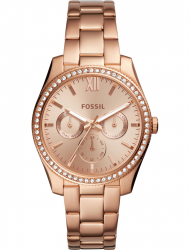 Наручные часы Fossil ES4315