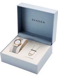 Наручные часы Skagen SKW1101
