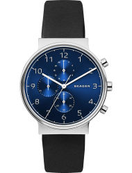 Наручные часы Skagen SKW6417