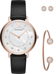 Наручные часы Emporio Armani AR80011