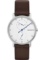 Наручные часы Skagen SKW6391
