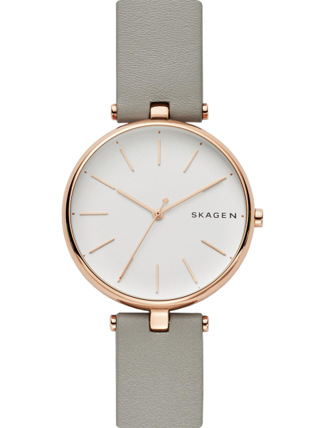 Наручные часы Skagen SKW2710