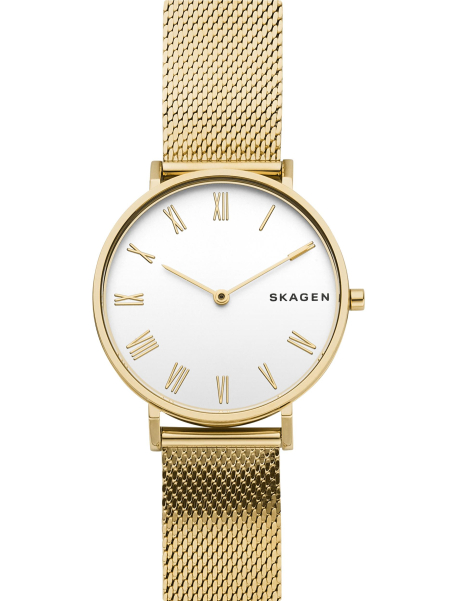 Наручные часы Skagen SKW2713