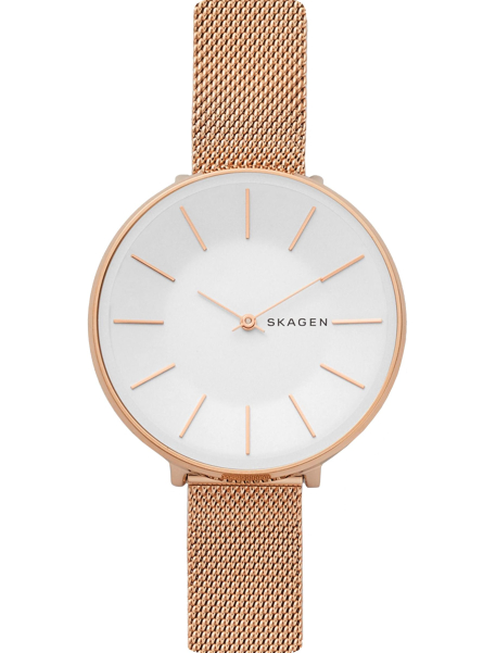 Наручные часы Skagen SKW2688
