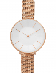 Наручные часы Skagen SKW2688