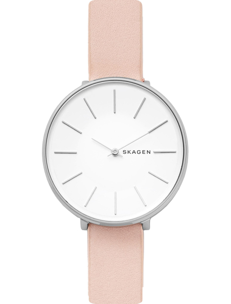 Наручные часы Skagen SKW2690