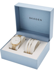 Наручные часы Skagen SKW1104