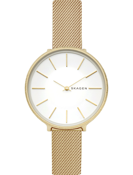 Наручные часы Skagen SKW2722