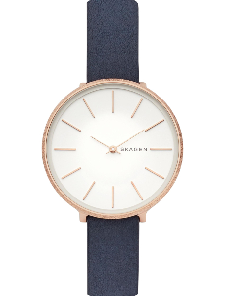 Наручные часы Skagen SKW2723