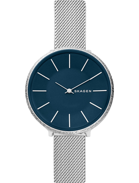 Наручные часы Skagen SKW2725