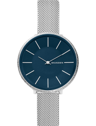 Наручные часы Skagen SKW2725