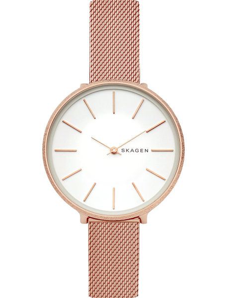 Наручные часы Skagen SKW2726