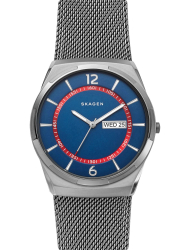 Наручные часы Skagen SKW6503