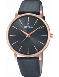 Наручные часы Festina F20373.2