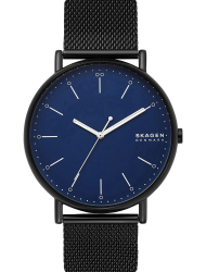 Наручные часы Skagen SKW6529