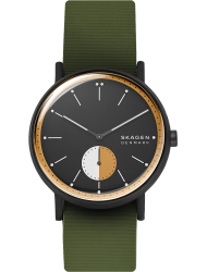 Наручные часы Skagen SKW6541